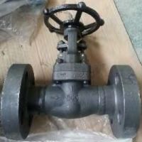 Forged Valve