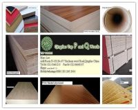 Various plywood/furniture plywood/packing plywood