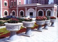 Sell granite flower pots
