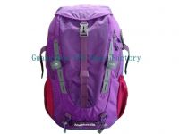2014 new design backpack F14002