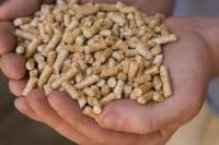 High Density Wood Pellets