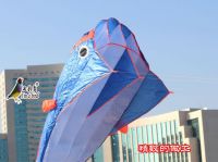 Inflatable Dolphin kites