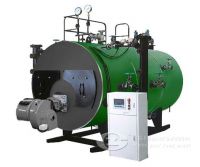 6t hot water Boiler