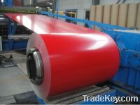 Prepainted Galvanized Steel Coils