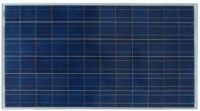 Solar Panel, Solar Module, Polycrystalline Solar Panel
