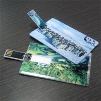 Card USB Flash Drives