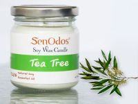 Tea Tree Soy Candle  190g /45g