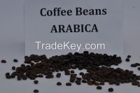 Arabica roasted bean screen 18 Grade 1 and Grade 2