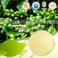 High quality Natural Green Coffee Bean Extract