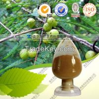 Natural Phyllanthus Emblica Extract