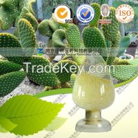 High quality Natural Cactus Extract