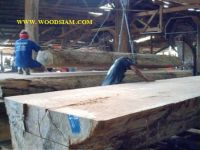 tropical hard wood, bangkirai, balau, keruing  sawn timber, sawn wood
