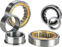 Cylingdrical Roller Bearing