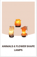 Animal and Flower shape Salt Lamps