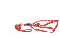 Sell Reflective Dogs Print Dog Harness & Leash
