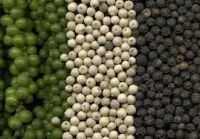 Quality Black Pepper And White Pepper