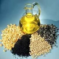 Mustard Oil Seeds