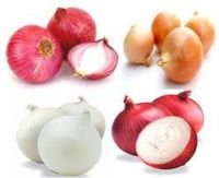 Fresh Red, White, Yellow Onions