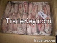 Sell Squid, Octupus, Cuttlefish