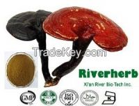 Natural Reishi Mushroom extract Polysaccharide 30%