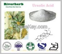 Natural Ursolic acid (CAS No 77-52-1)