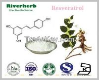 Natural Giant Knotweed extract with 50-98% Resveratrol