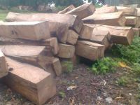 Sell Kosso Wood