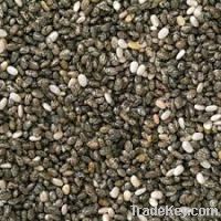 Chia Seeds Origin Mx