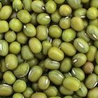 Green Mung Bean