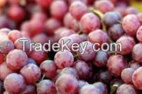 Fresh GRAPES