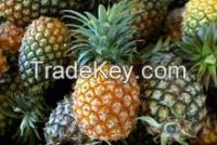 Fresh fruit Pineapple