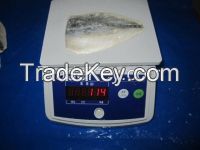 Chinese Mackerel