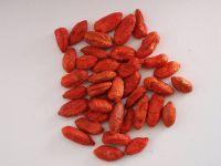 Goji Berry 500 grains/50 gram