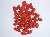 High Quality Goji Berries