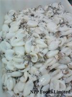 Whole Cleaned Frozen Cuttlefish