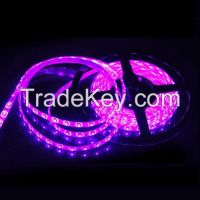 SMD LED strip purple 5050/3528