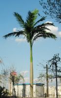 Whole sales artificial fake big king coconut tree made in China, decorative artificial fake big king coconut tree made in China