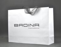 Shopping bag/ Gift bag