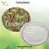 Giant knotweed extract, Trans-resveratrol 50%, 98%