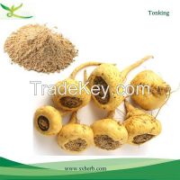 Maca extract, maca root powder