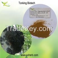 Chaga mushroom extract, polysaccharide 20%