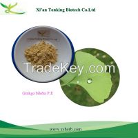 Ginkgo biloba extract 24/6