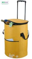 non woven cooler bag