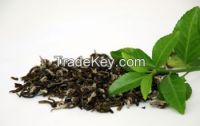 green slimming tea