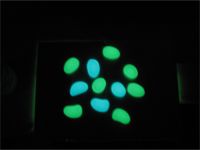 Sell glow in dark stone