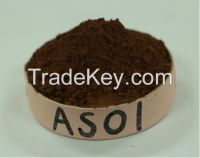 Supply Alkalized Cocoa Powder (Cacao Polvo) 10/12 AS01 For trading