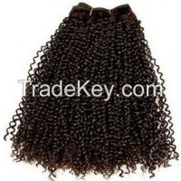 kinky Curly Hairs