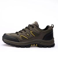2015 hiking shoes