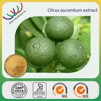 free sample HACCP KOSHER GMP manufacturer pure plant extract citrus aurantium synephrine