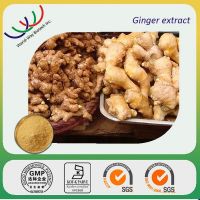 free sample for test KOF-K HACCP certified supplier antiinflammation water soluble 1% gingerol ginger extract powder